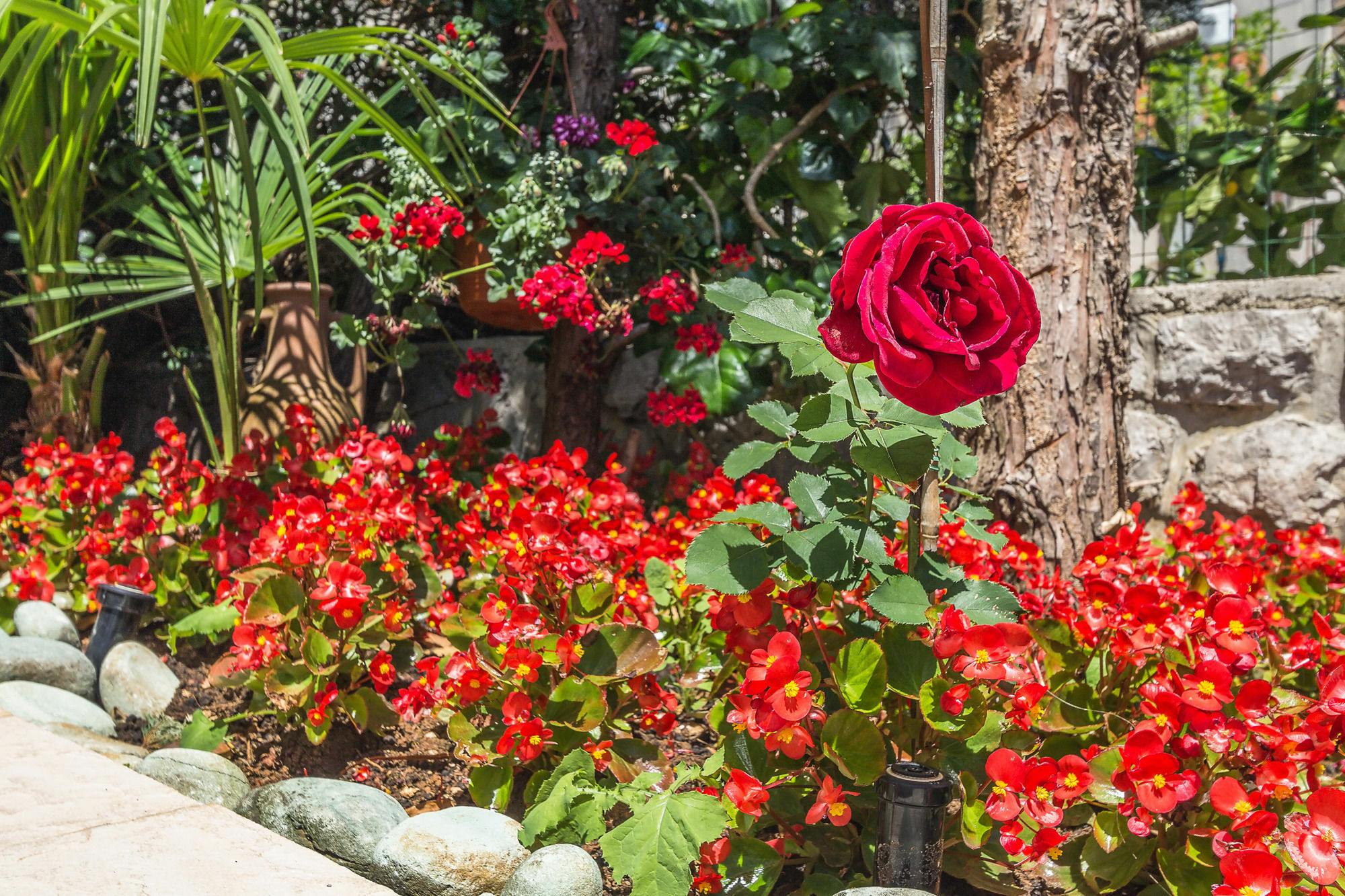 Villa Roses Apartments & Wellness Ičići Εξωτερικό φωτογραφία